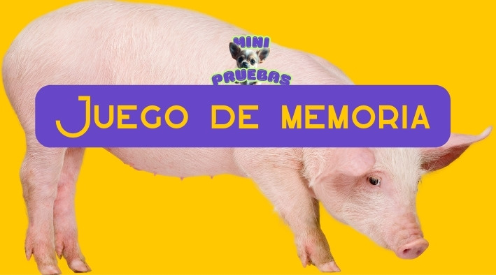 Juego de memoria: encuentra pares de animales